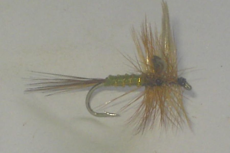 Greenwells glory dry fly