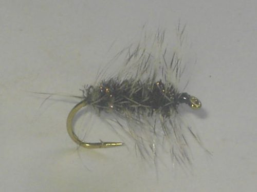 Griffith's gnat fly