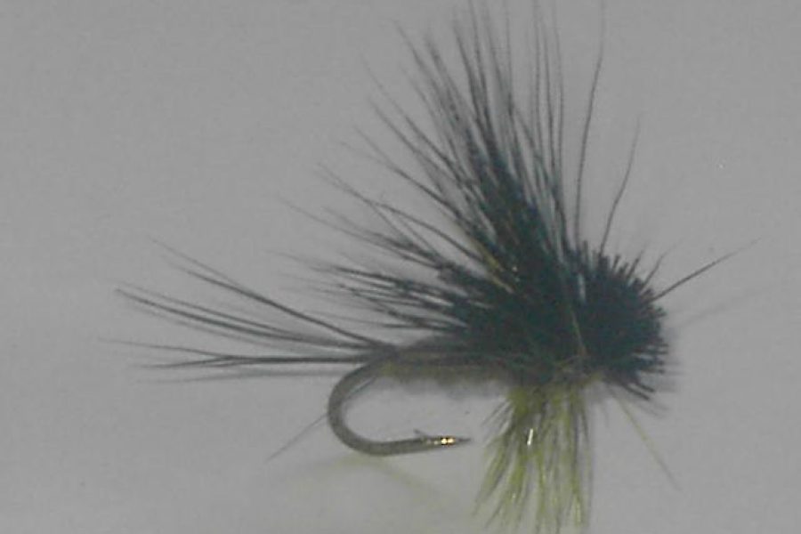 Adams Hairwing Dun olive fly