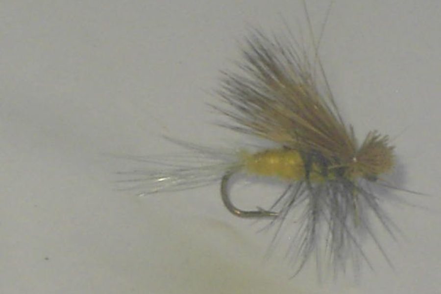 Trico Hairwing Dun dry fly