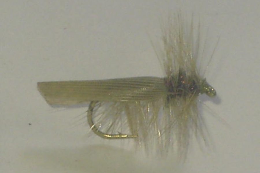 Hemmingway caddis fly