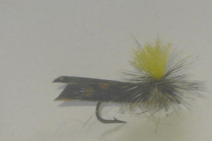 Hi vis caddis natural yellow wing fly