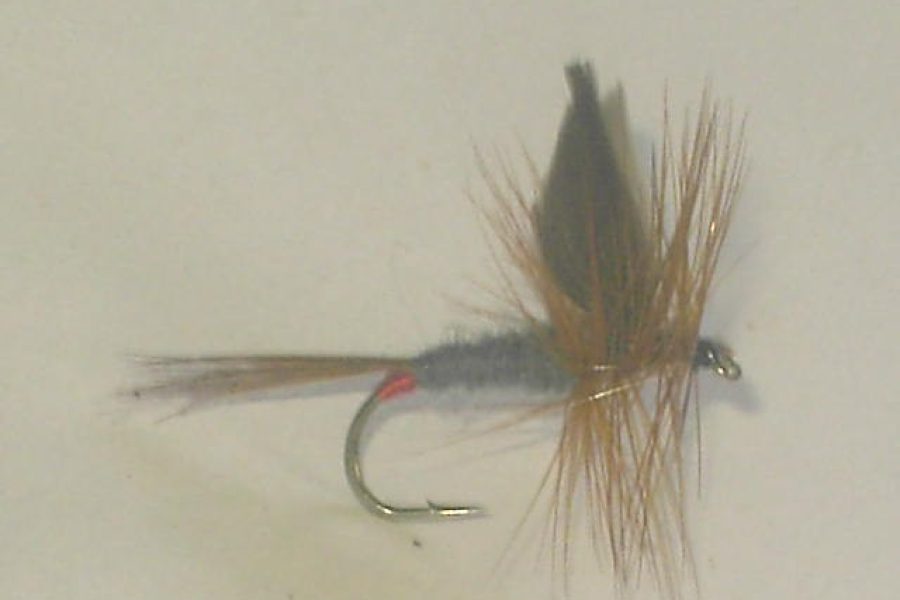 Iron Blue Dun Dry Fly