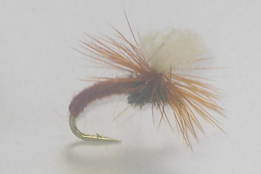 brown Klinkhammer fly 2