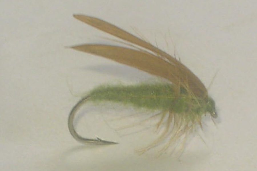 No hackle slate olive fly