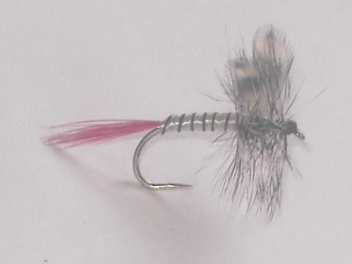 Red tail mosquito dry fly