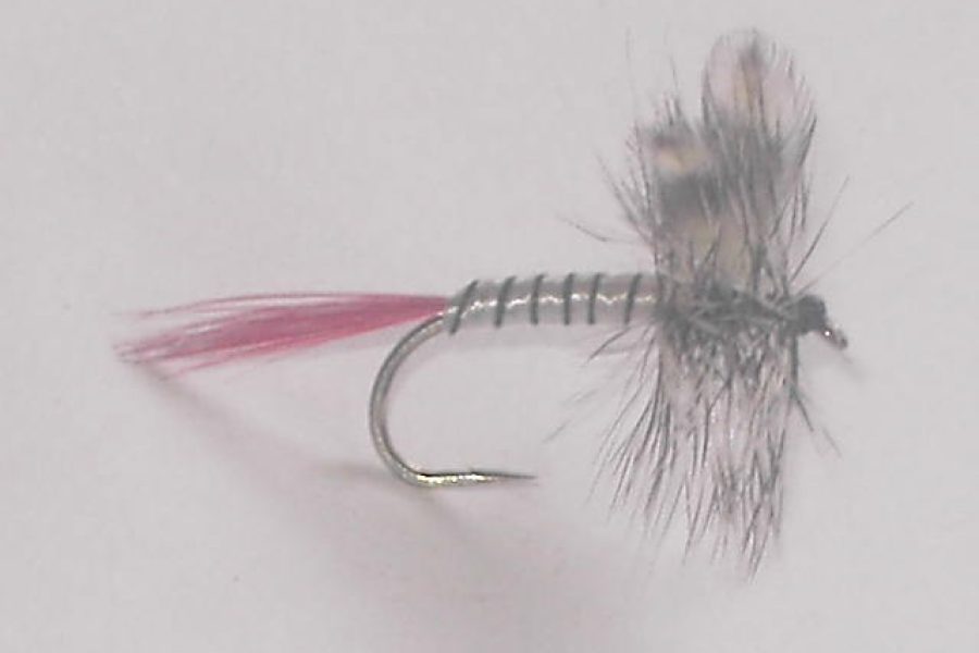 Red tail mosquito dry fly