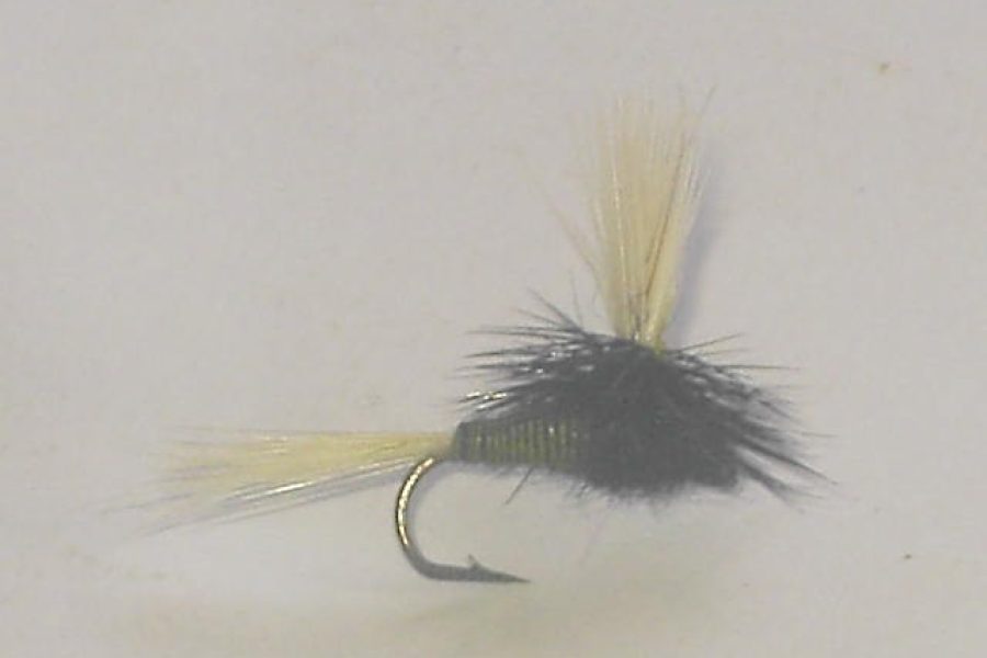 Parachute caddis black dry fly