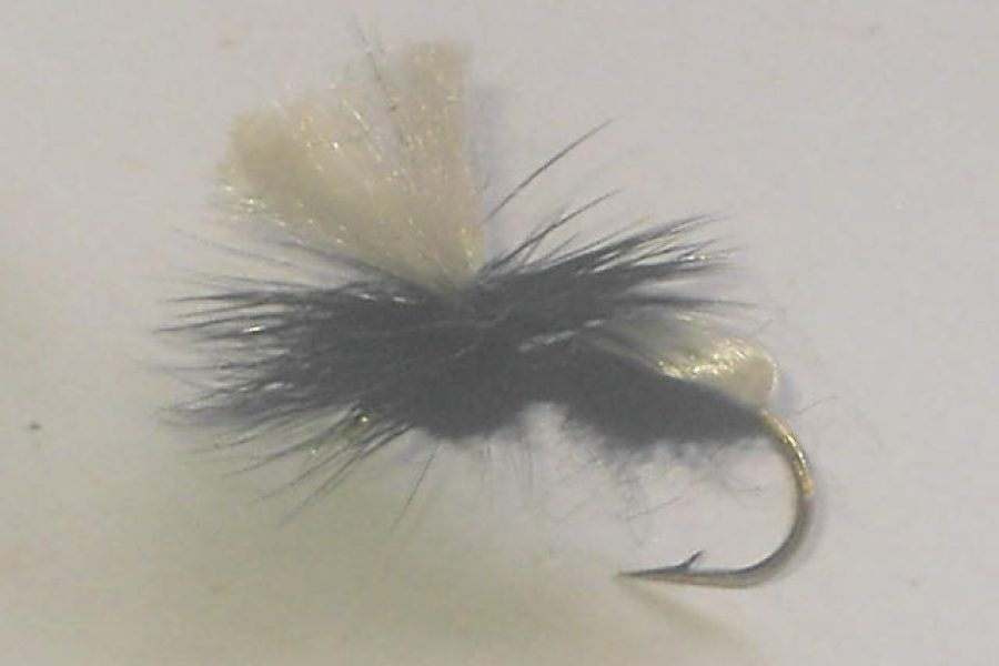 Parachute Ant Dry Fly