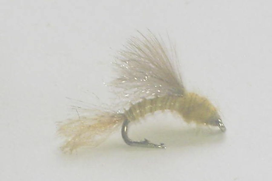 caddis emerger pmd fly