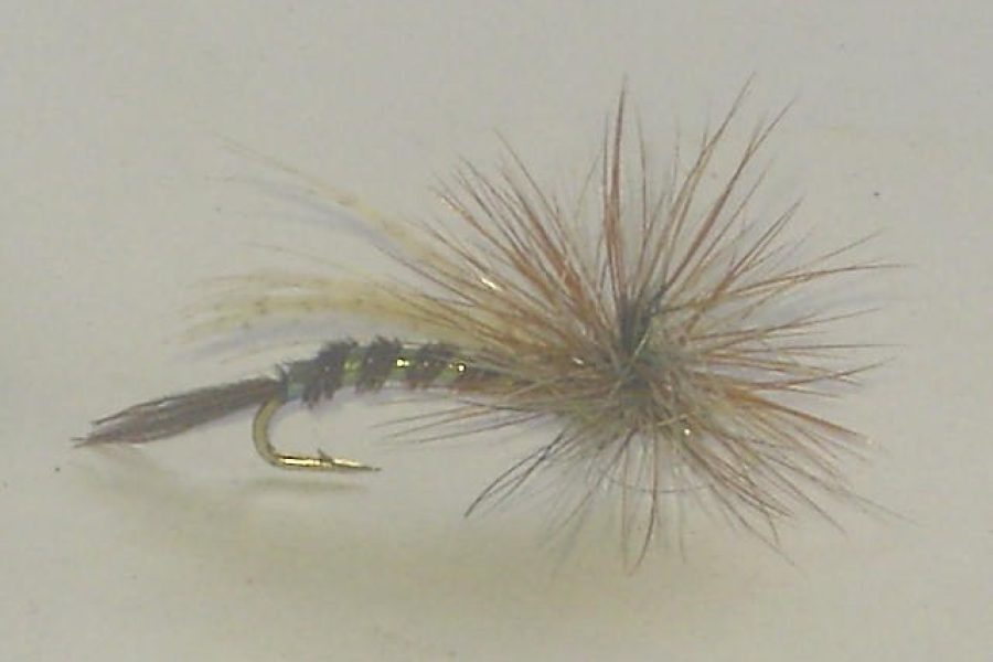 Paraloop Pheasant Tail fly