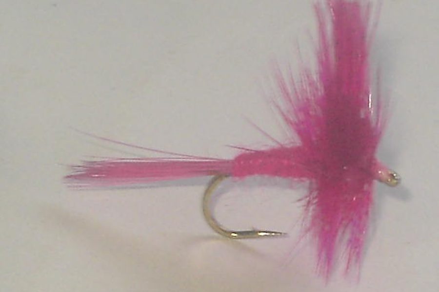 Pink cahill dry fly