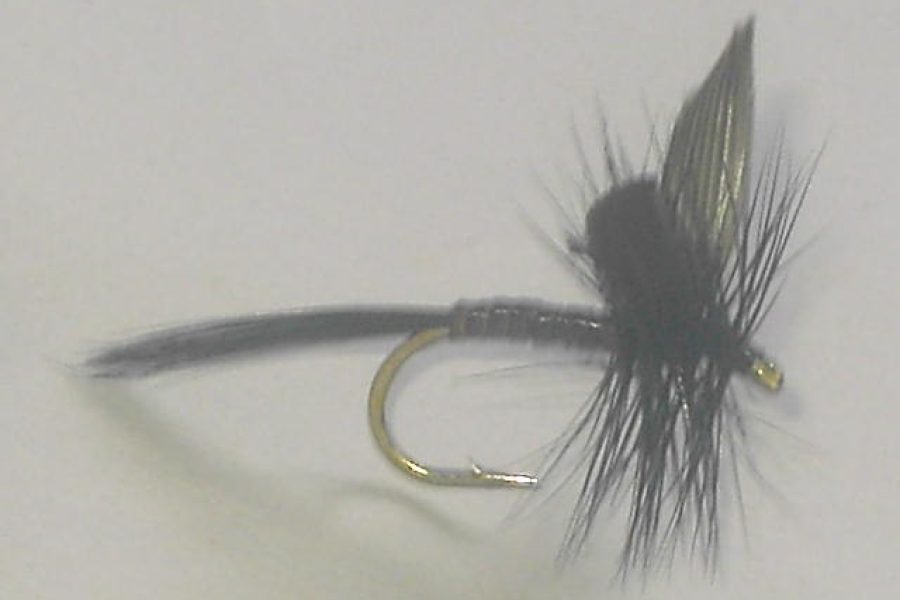 Black Quill dry fly