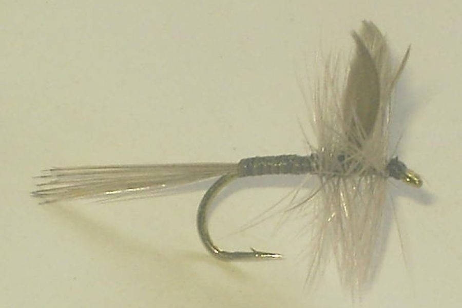 Gray Quill dry fly