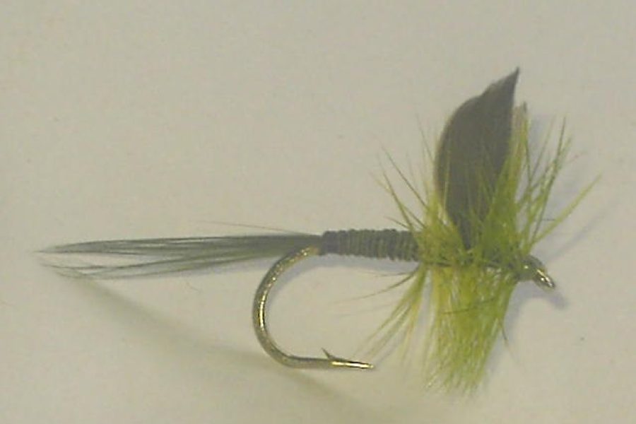 Olive Quill Dry Fly