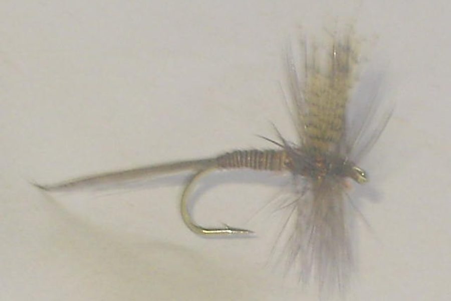 Red Quill dry fly