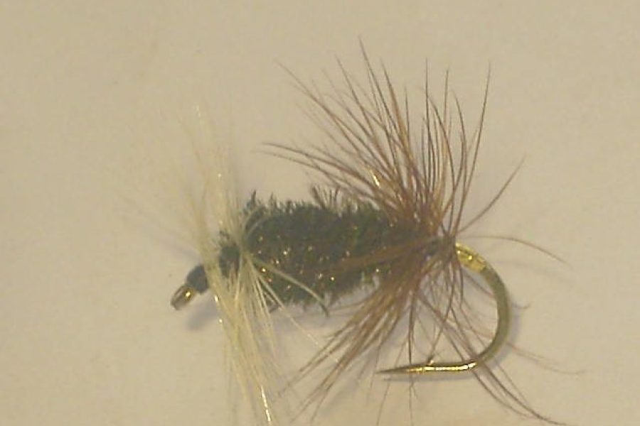 Renegade dry fly