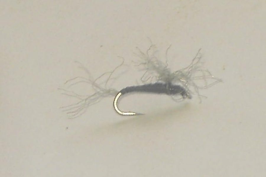 Richs compara midge black fly