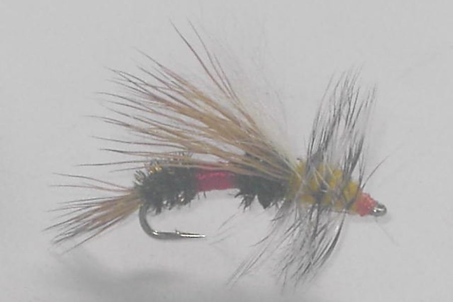 Royal Stimulator dry fly