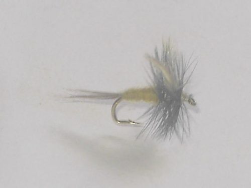 Sulphur dun dry fly