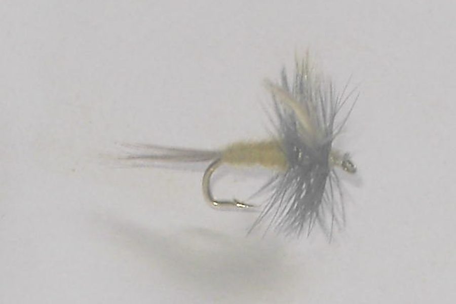 Sulphur dun dry fly