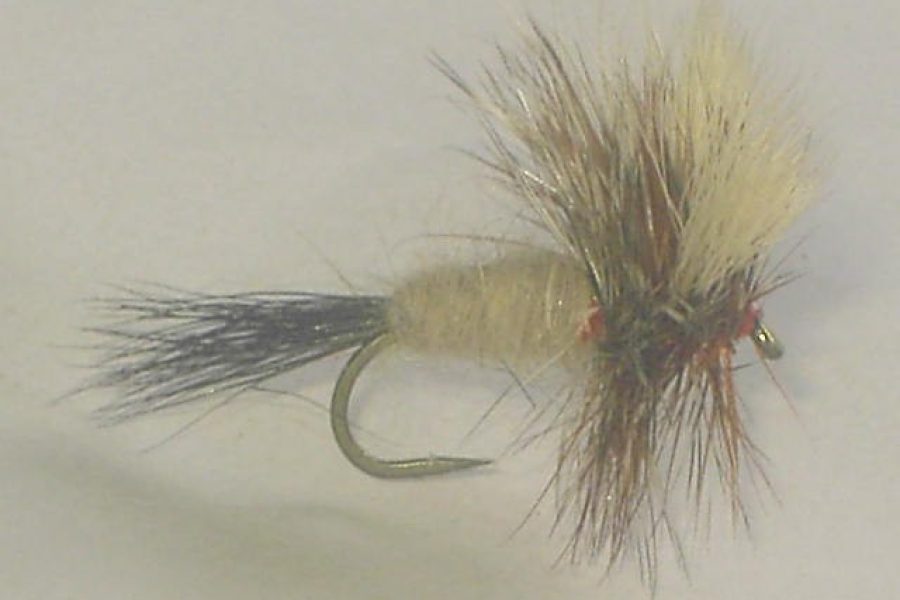 Ausable Wulff dry fly