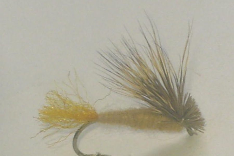 Tan X-Caddis Fly