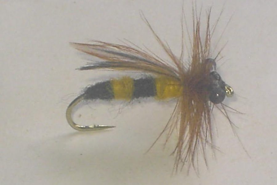 Yellow jacket dry fly