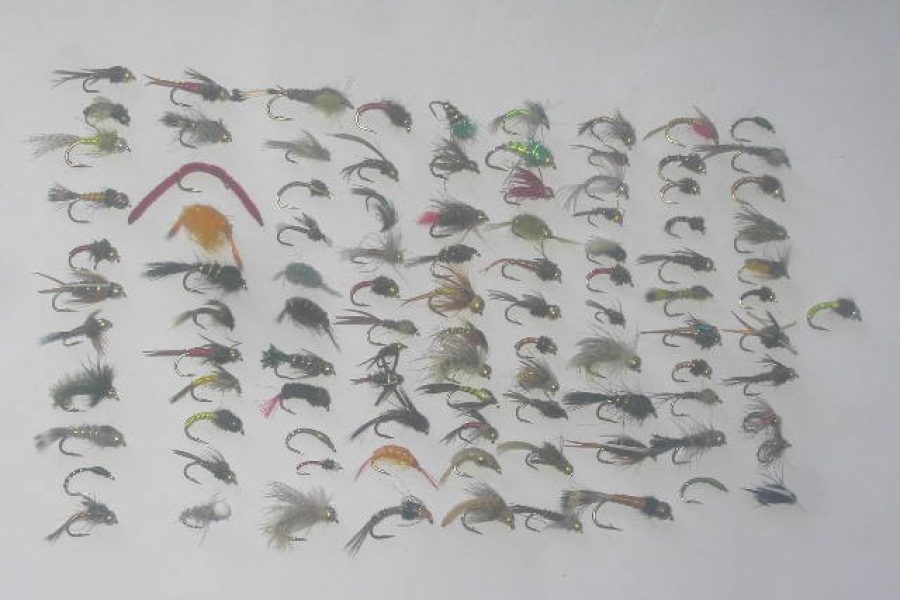 100 assorted nymph flies