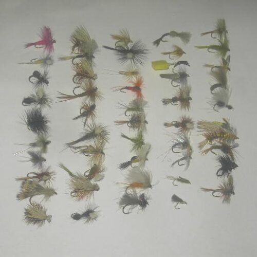 50 Assorted dry flies