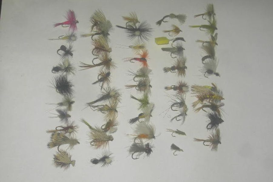 50 Assorted dry flies