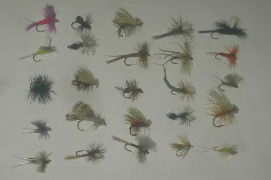 25 Assorted dry flies