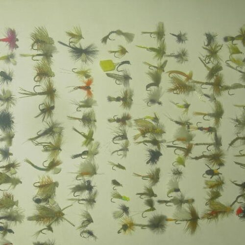 100 Assorted dry flies