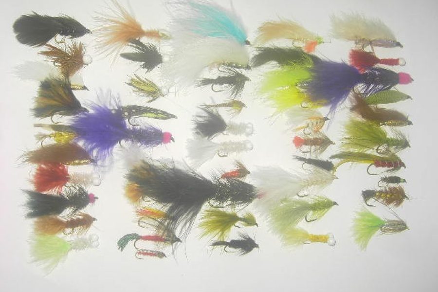 50 Assorted streamers fly fishing flies