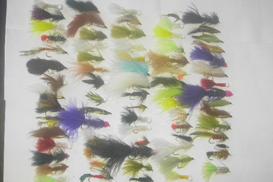 75 Assorted streamers flies