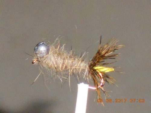 Van Clenkens Leadhead fly