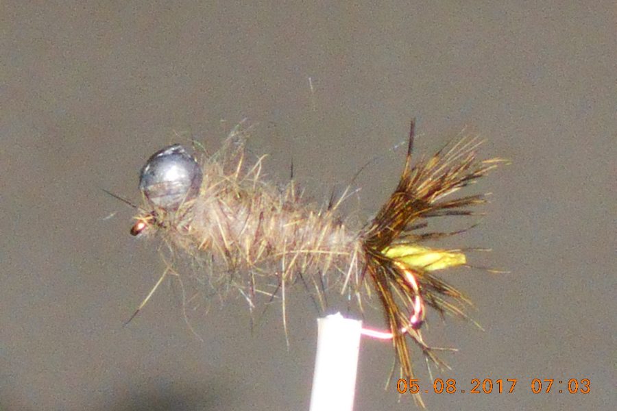 Van clickens leadhead fly