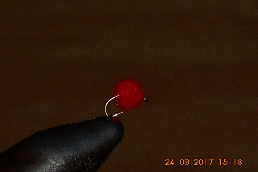 Egg fly red