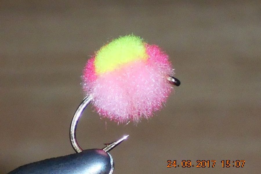 Clown egg fly