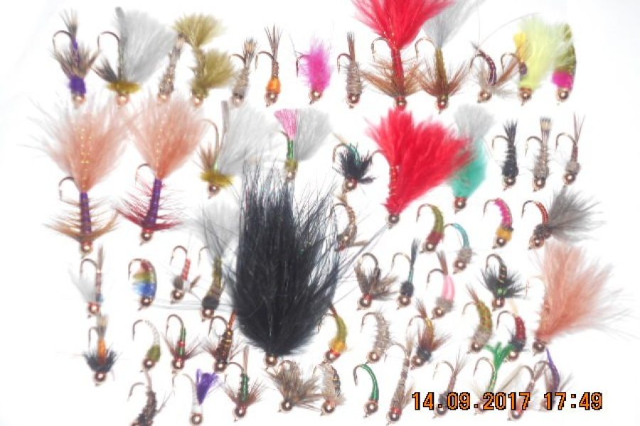 50 Assorted tungsten nymphs flies