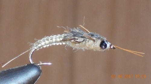 Realistic Stonefly Nymph Tan