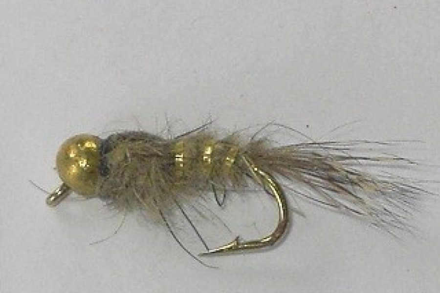 Tungsten islande fly