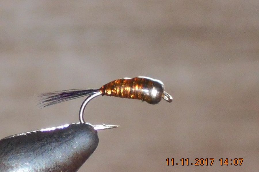 Perdigones brown fly