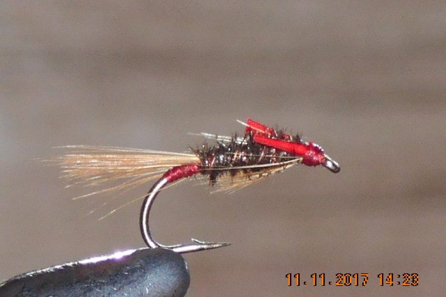 Diawl Bach Peacock Fly