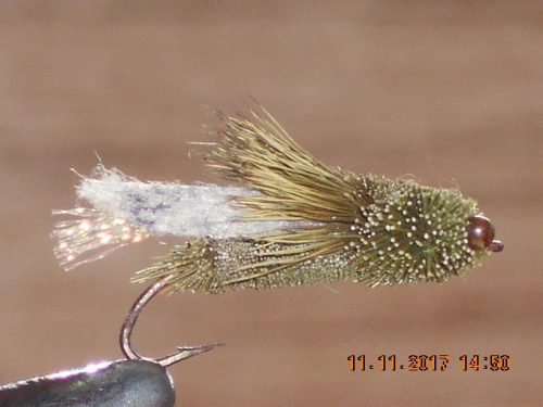 Cicada trout fly olive