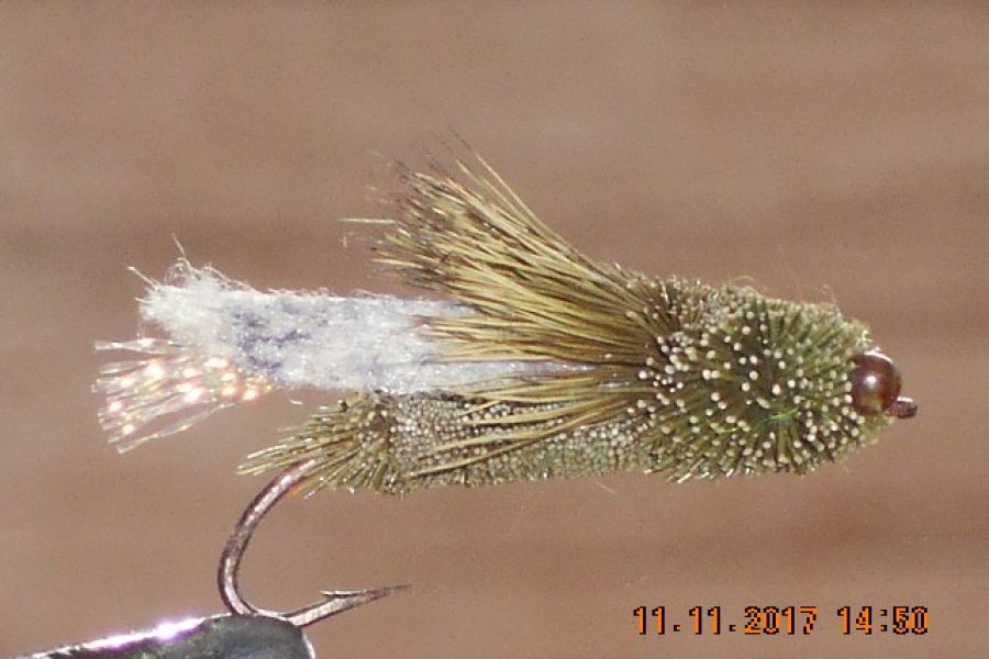 Cicada trout fly olive