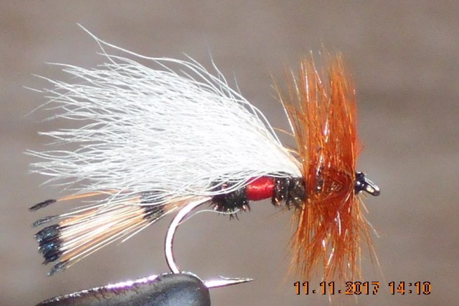 Royal Trude Coachman Fly