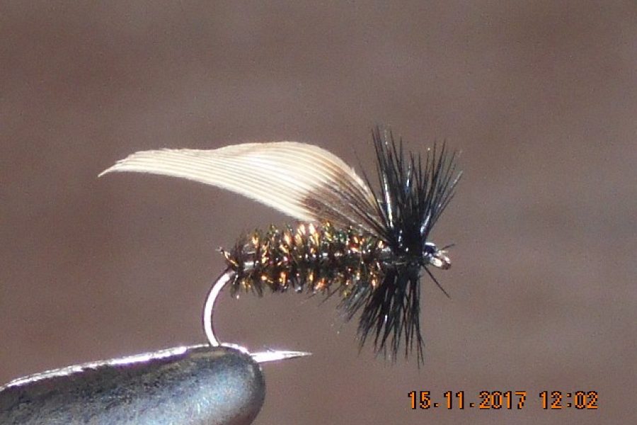 Alder dry fly