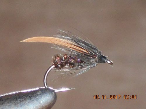 Alder Wet Fly