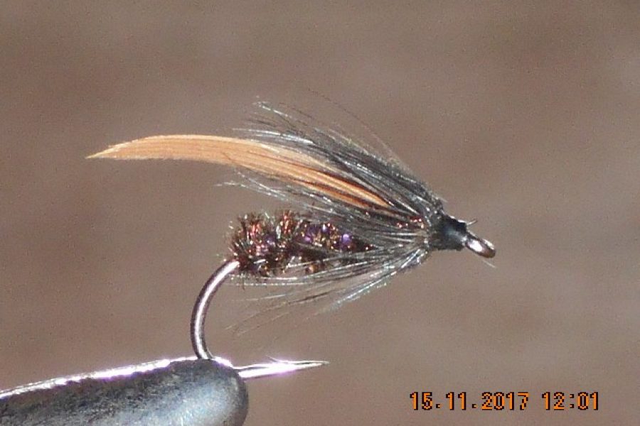 Alder wet fly